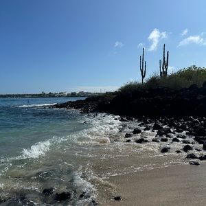 Meet your Posher, Aimee